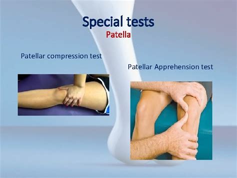 test for patellar tendon tear|patellar special tests.